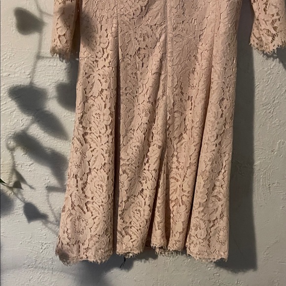 Eliza J Lace Long Sleeve Dress in Cream - Picture 8 of 8